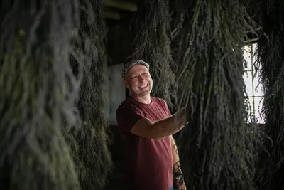 Mark Ponchak, a lavender farmer in McConnellsville, OH, with his drying lavender in the attic of his brotherâs brewery on November 6, 2023.